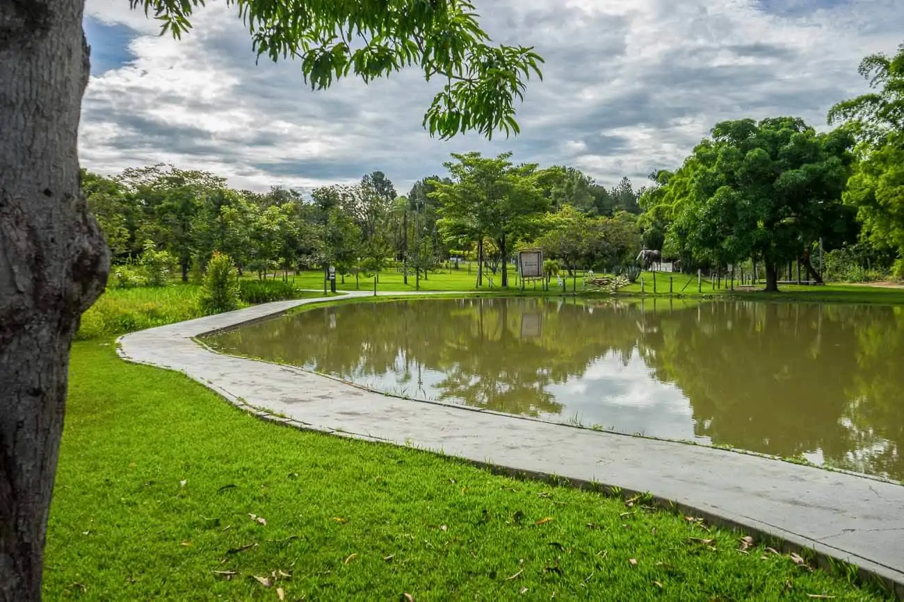 Lago do Pirapitinga em área gramada e com árvores