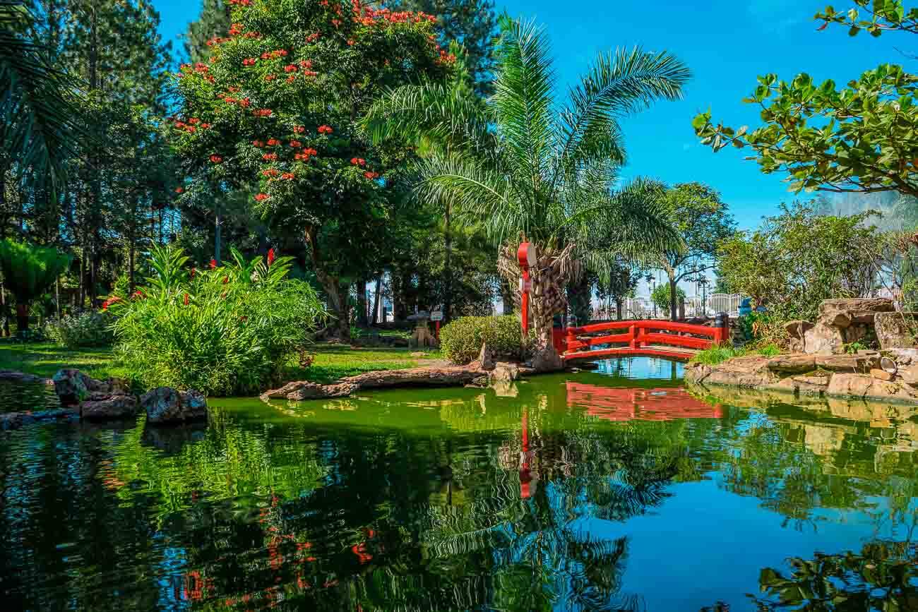 Ponte vermelha sobre lago no Jardim Japonês