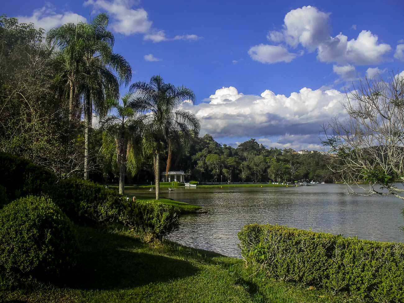 Área gramada e arborizada com lago no meio no Parque das Águas em São Lourenço