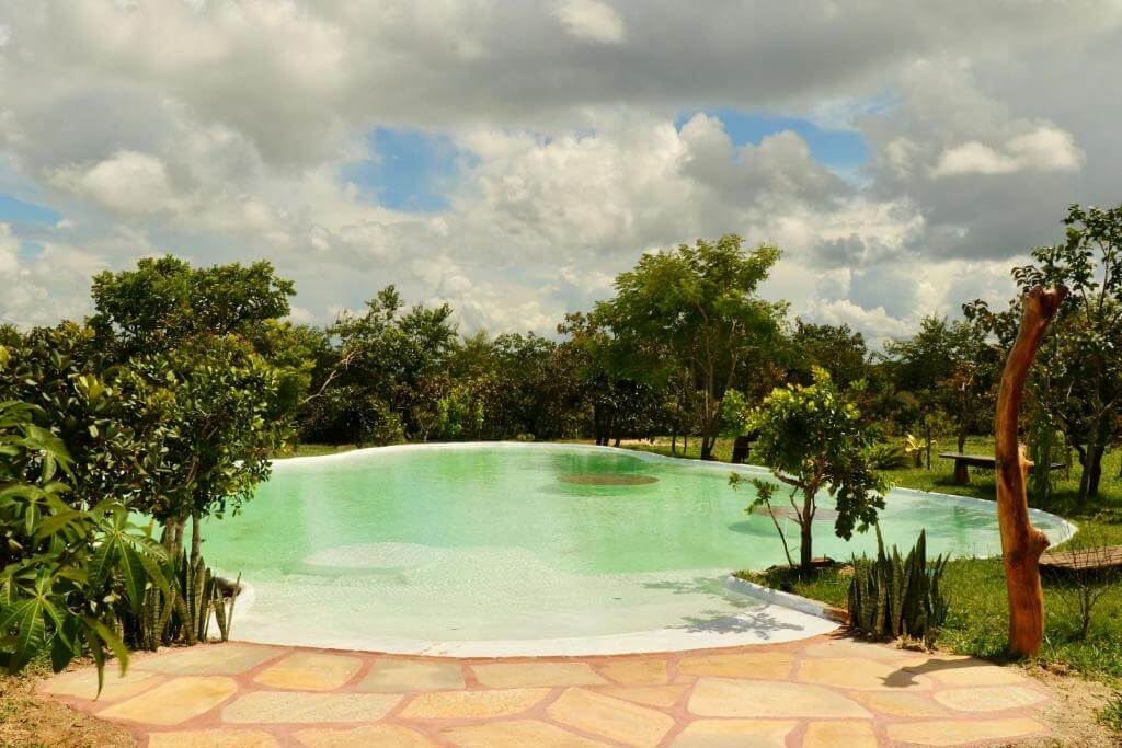 Piscina ao ar livre cercado por árvores 