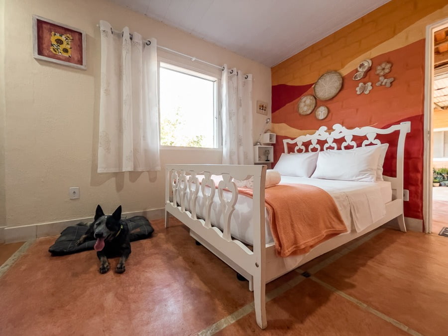 Quarto com cama de casal e um cachorro deitado no chão.