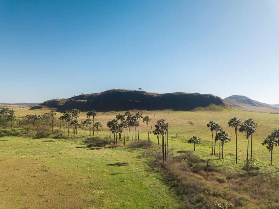 Amplo campo de veredas de buritis e ao fundo chapadas no Jardim de Maytrea
