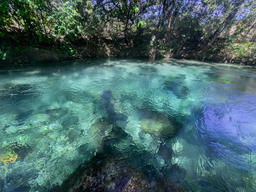 Água azul turquesa cristalina do Poço Azul em Aurora