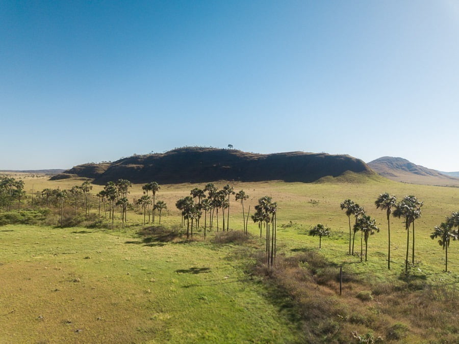 Amplo campo de veredas de buritis e ao fundo chapadas no Jardim de Maytrea