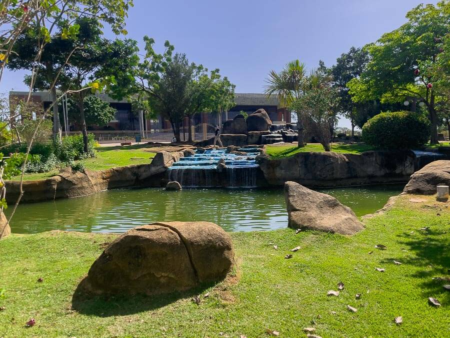 Fonte cercada por área verde na Praça dos Girassóis