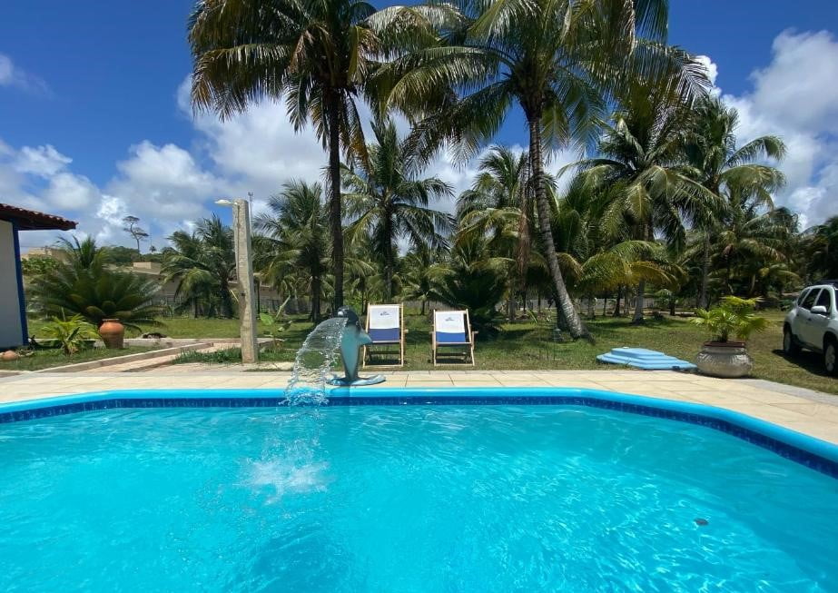 Piscina ao ar livre e ao fundo área gramada com coqueiros