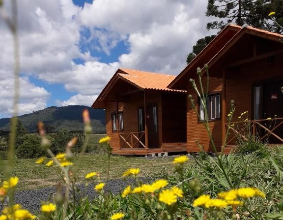 Chalés rústicos em área gramada e com flores em Urubici