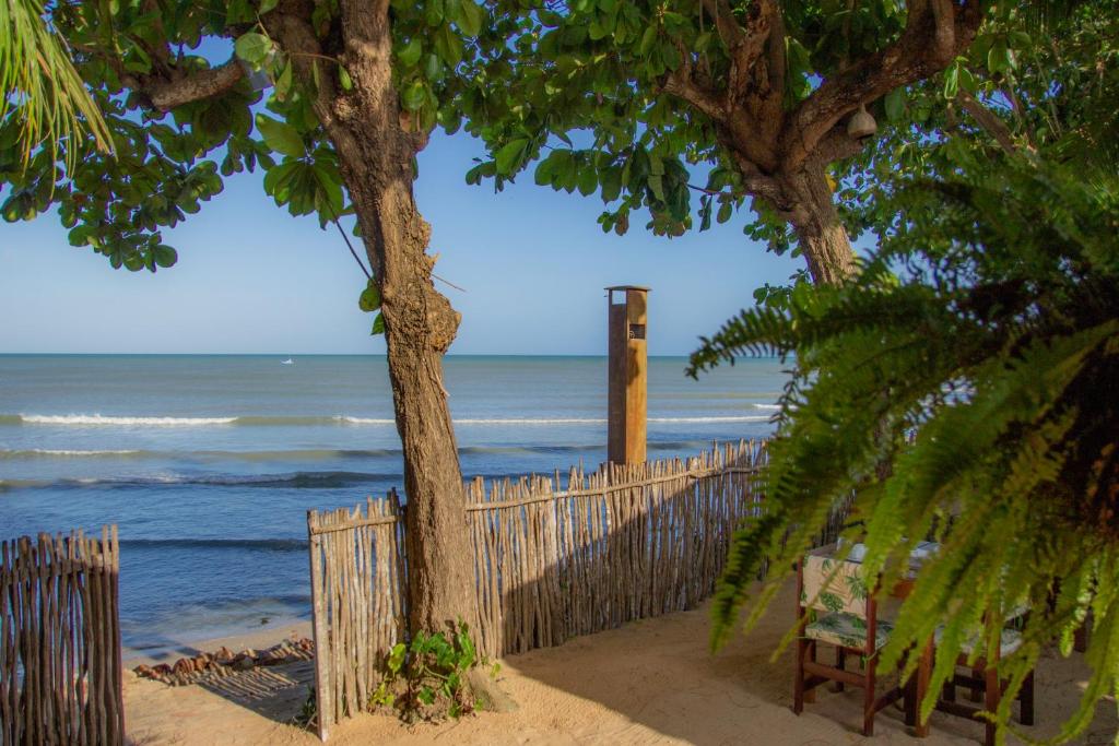Acesso à praia a partir de Pousada em Jericoacoara com algumas árvores na areia.