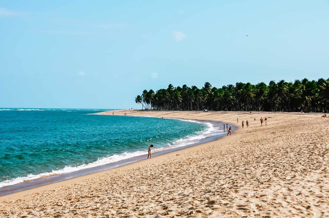 Praia do Gunga com a orla repleta de coqueiros em um dia com poucas pessoas e o mar tranquilo