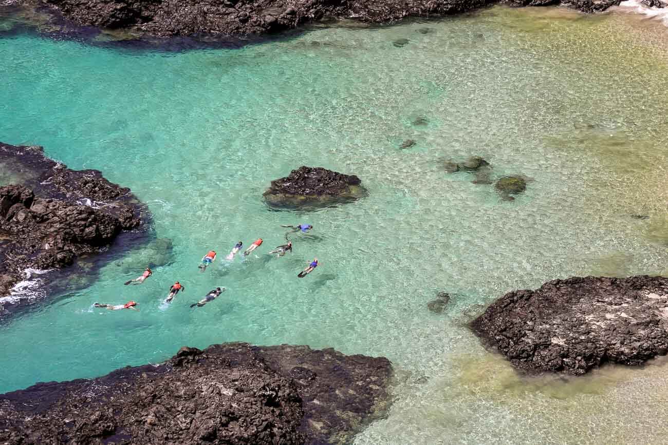 Pessoas nadando de snorkel em praia de Fernando de Noronha