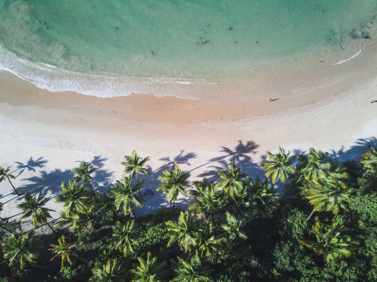 Vista de cima do mar cristalino e dos coqueiros da Praia de Coqueirinho em João Pessoa