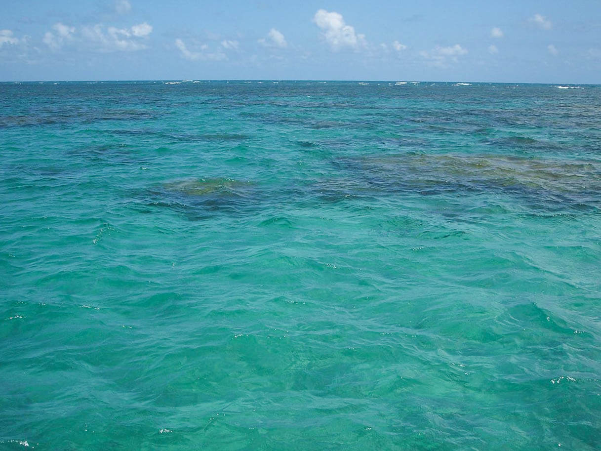 Piscinas naturais em tom azul turquesa nos Parrachos de Maracajaú