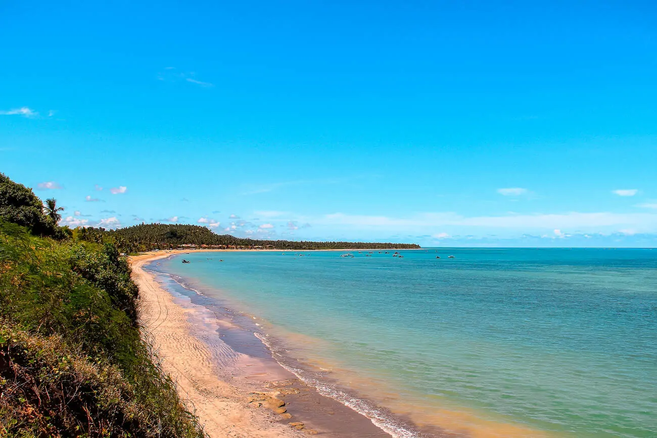 Faixa de areia estreita da Praia de Japaratinga com a orla repleta de vegetação litorânea e o mar calmo cristalino.