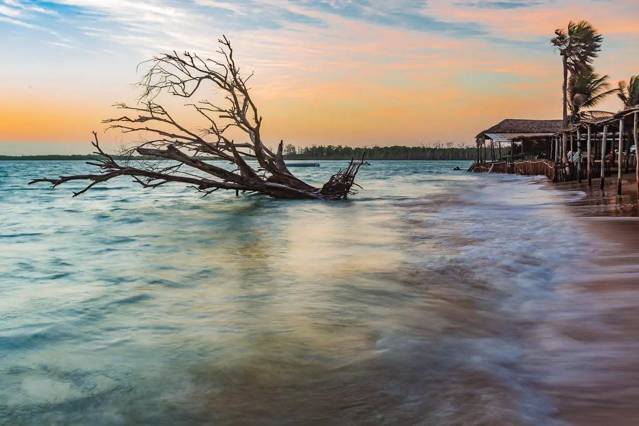 Praia de Macapá em Luís Correia e mar manso, com uma árvore tombada na água e quiosques à beira-mar.