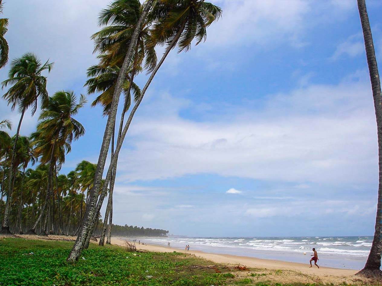 Praia do Paiva com poucas pessoas na faixa de areia extensa. A orla é repleta de coqueiros e vegetação litorânea.