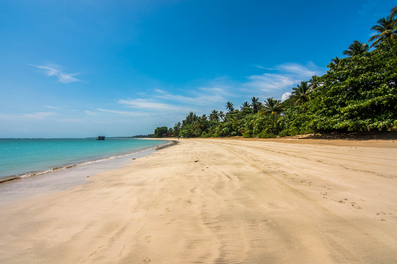 Faixa de areia clara e extensa da Quarta Praia em Morro de São Paulo, com a orla repleta de coqueiros e vegetação.