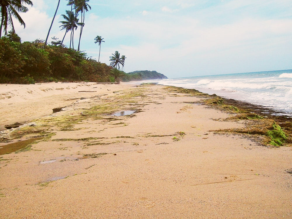 Praia de faixa de areia larga com vegatação ao fundo, em Arena Gorda