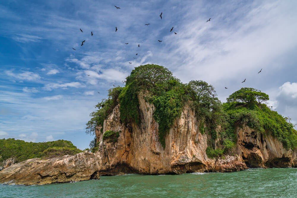 Pássaros voando sobre uma formação rochosa coberta de vegetação, na Bahía de San Lorenzo, no parque nacional los haitises.