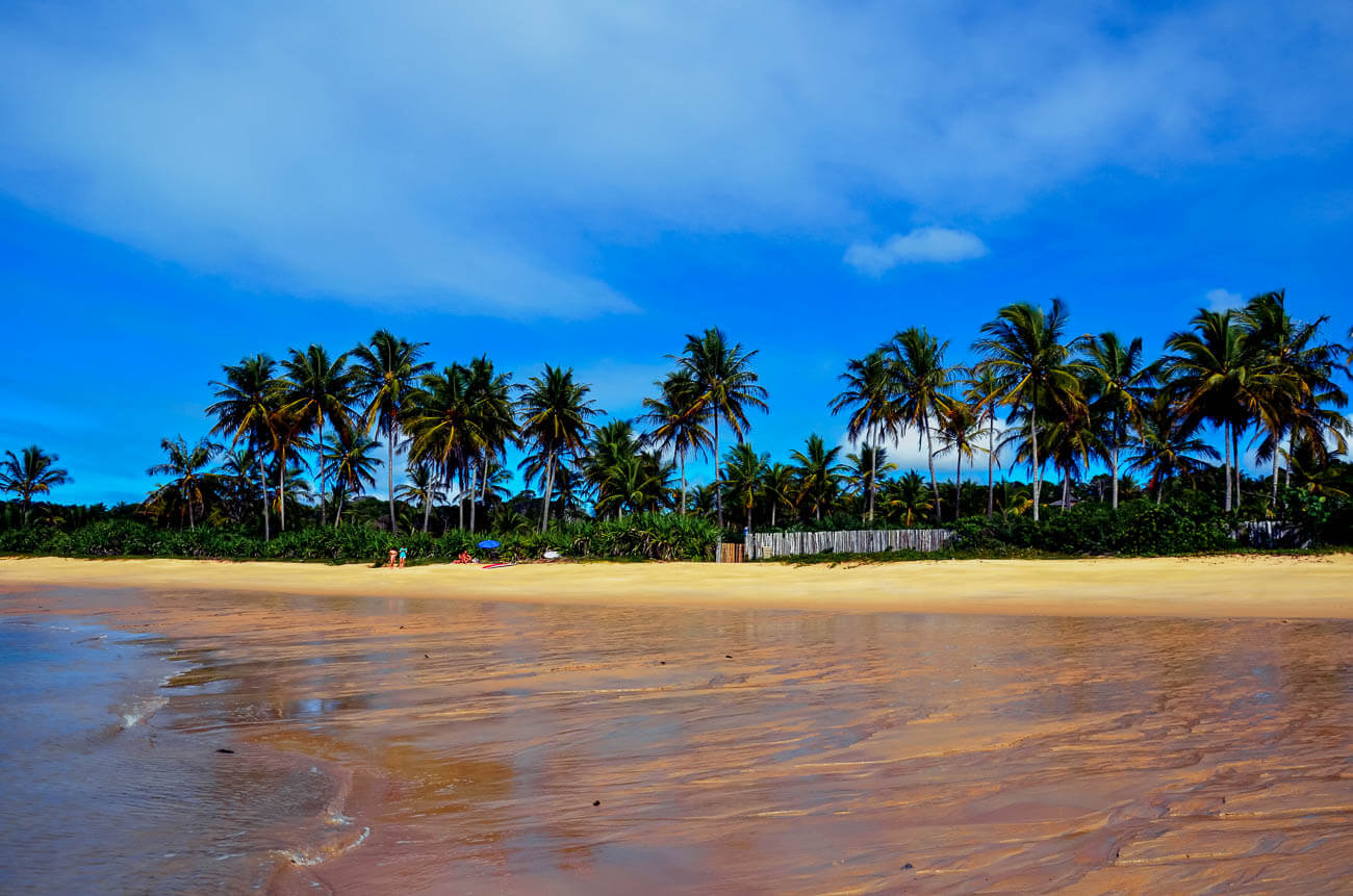 Faixa de areia da Praia do Rio Verde com poucas pessoas e ao fundo coqueiros e vegetação nativa.