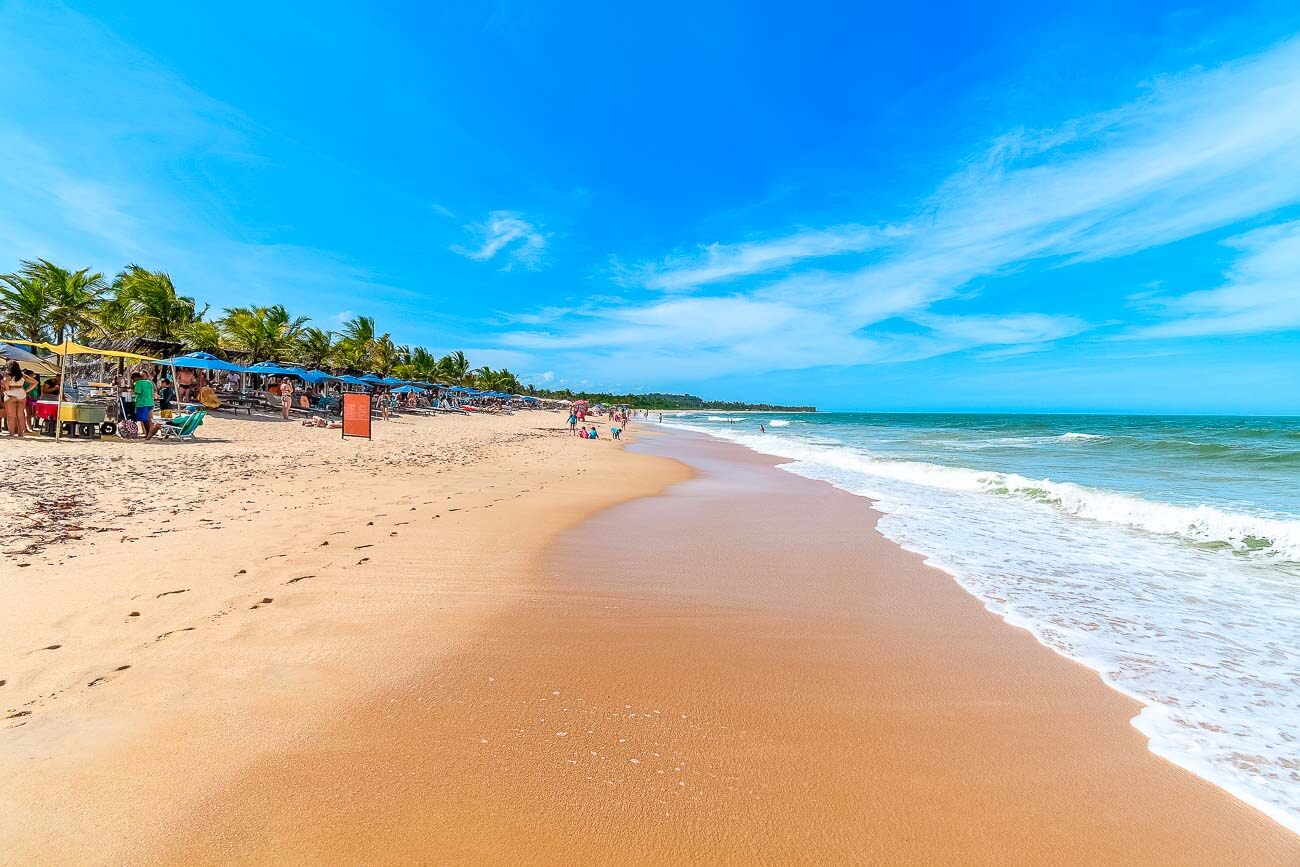 Faixa de areia larga e extensa da Praia dos Nativos com a orla repleta de coqueiros e guarda-sóis azuis na areia.