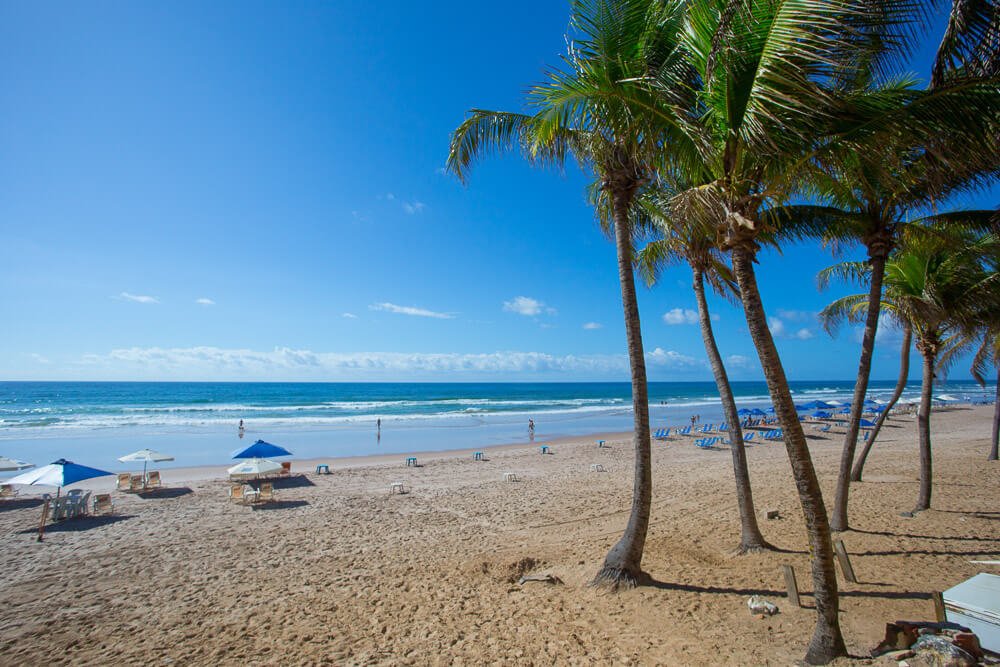 Praia do Flamengo com extensa faixa de areia, coqueiros e águas azuis.