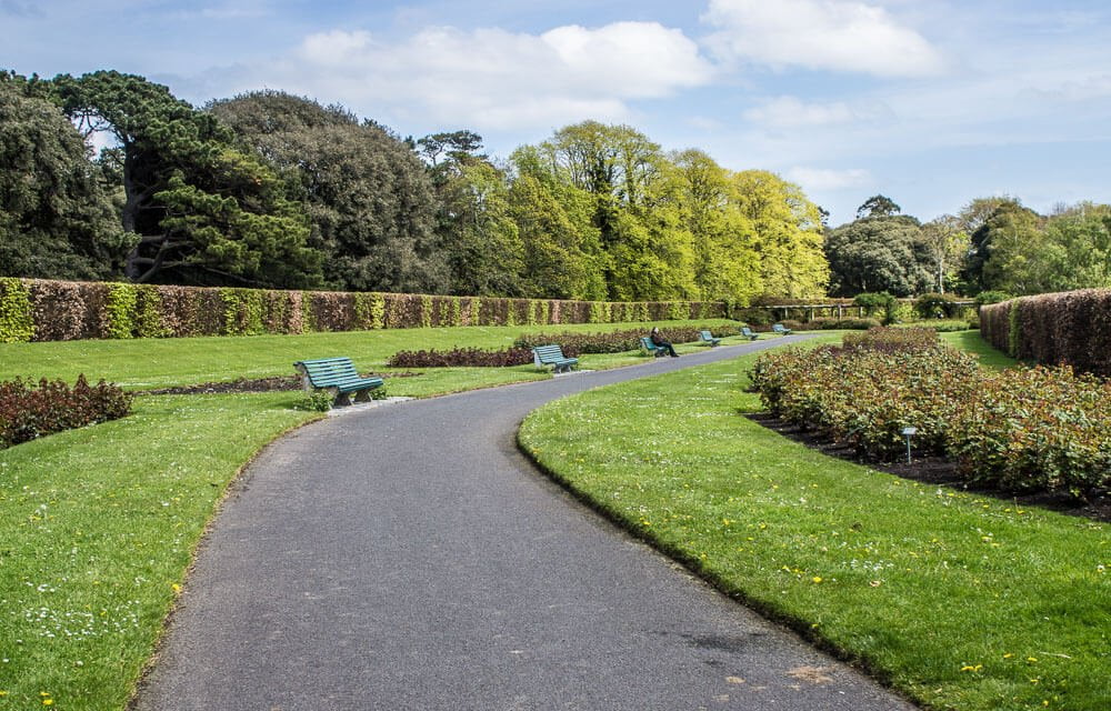 St Anne’s Park com muitas árvores, folhas, bancos e um caminho pavimentado.