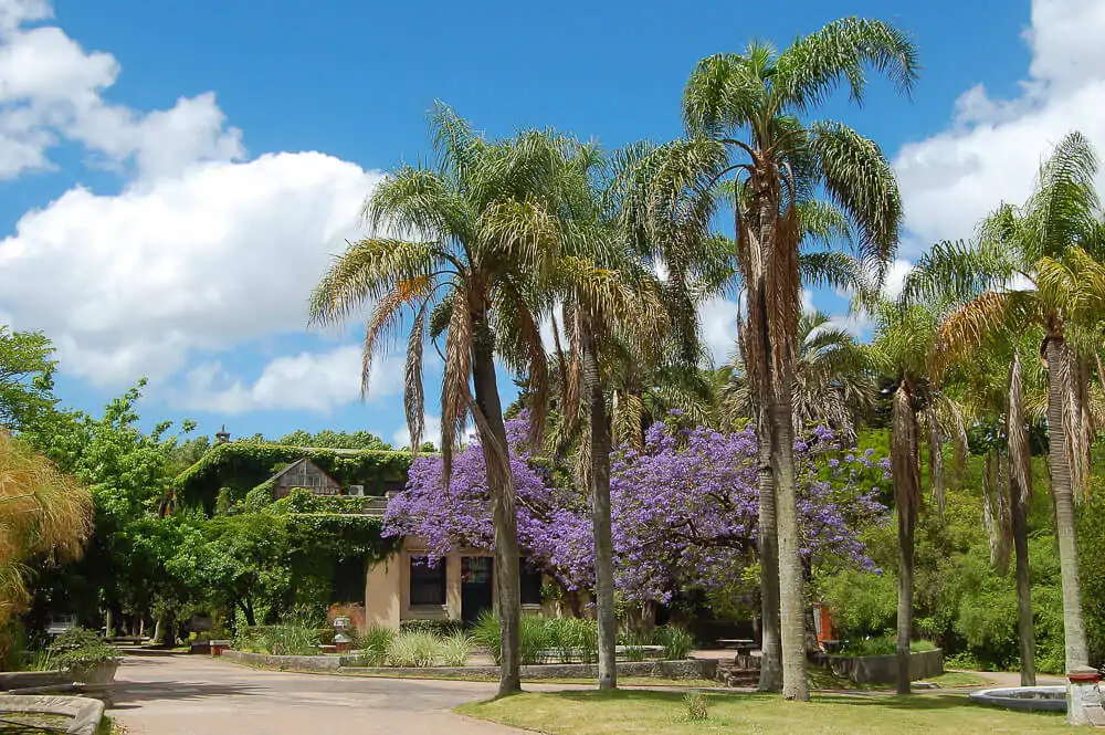 Jardim Botânico de Montevidéu