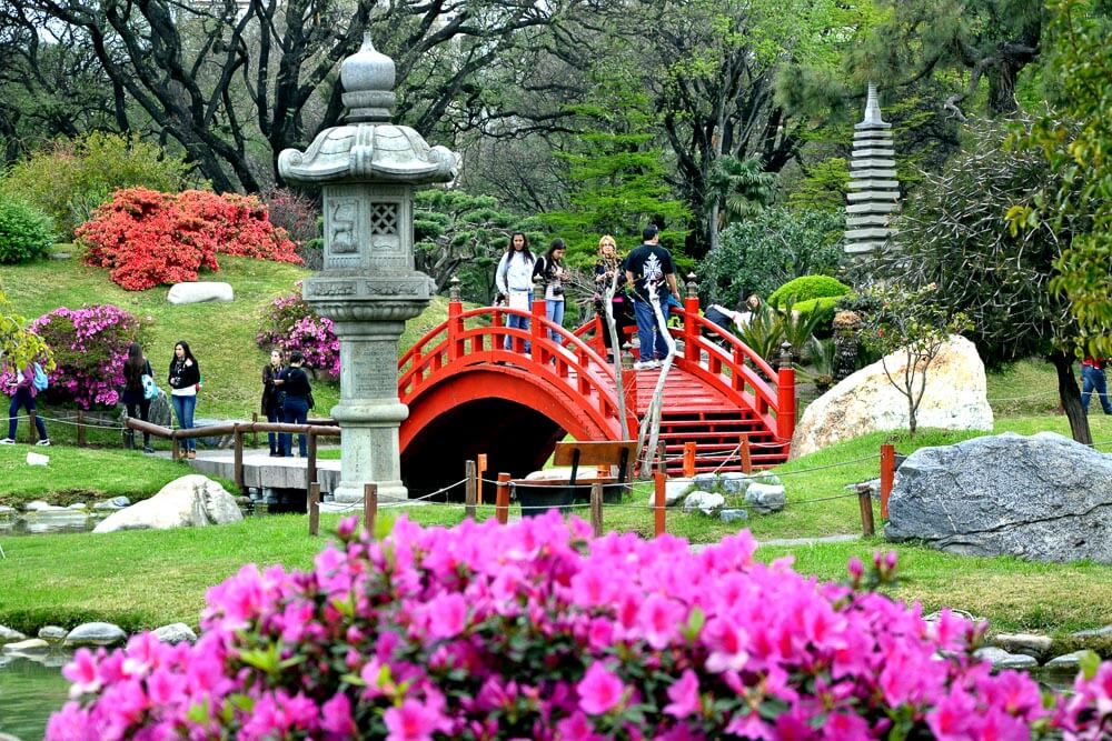 Interior do Jardim Japonês de Buenos Aires com flores rosas e amarelas, árvores e uma ponte vermelha.