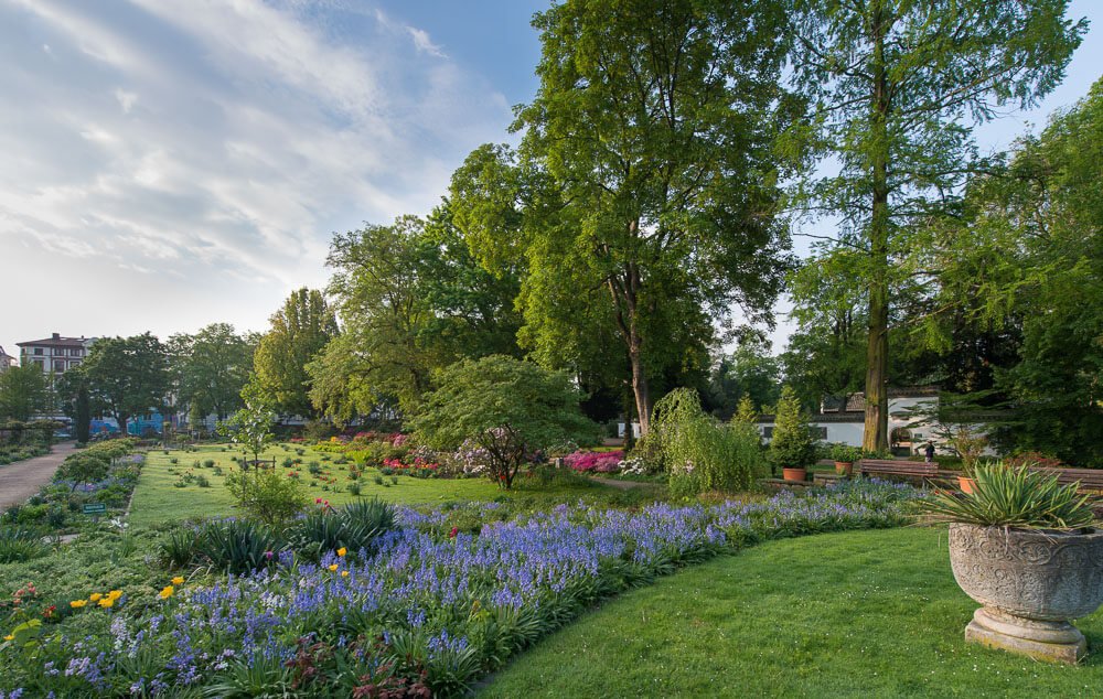 Parque Bethmann com um gramado repleto de flores azuis, amarelas e várias árvores.