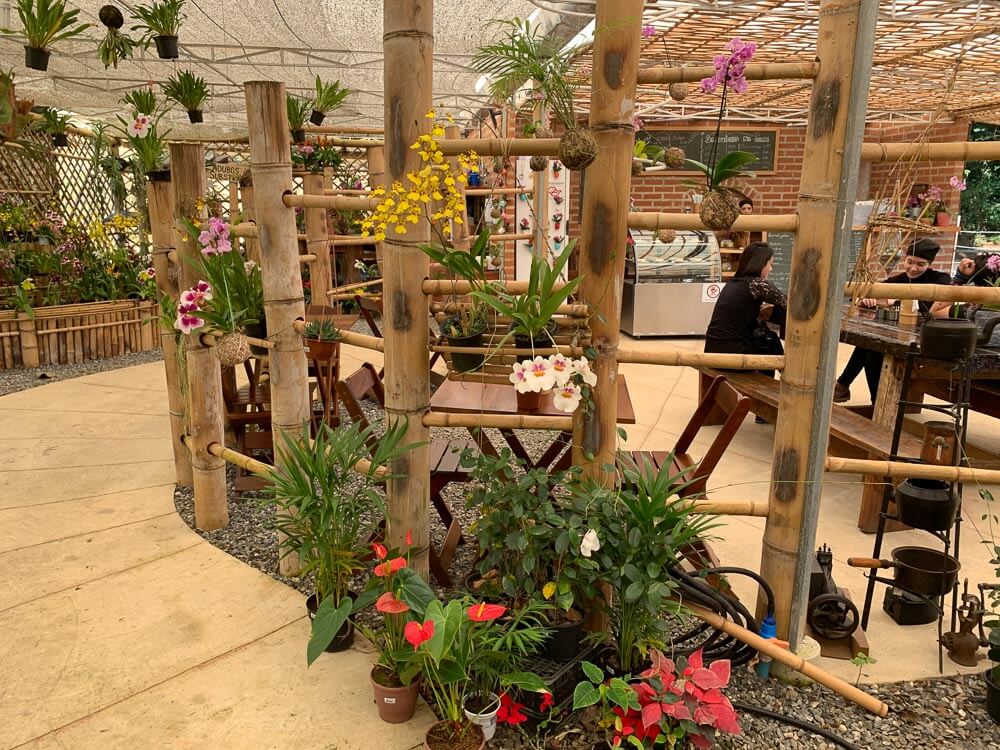 Interior da cafeteria Café com Orquídea com várias flores, decorações em madeira e algumas mesas com cadeiras.