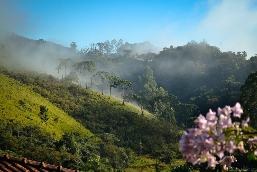 Vista para região de morros cobertos pela vegetação em Santo Antônio do Pinhal.