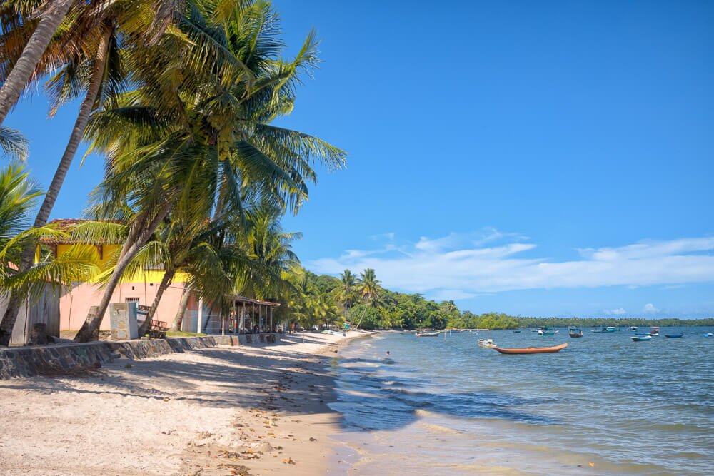 Praia da Cova da Onça, com coqueirais à esquerda e mar com alguns barcos à direita.