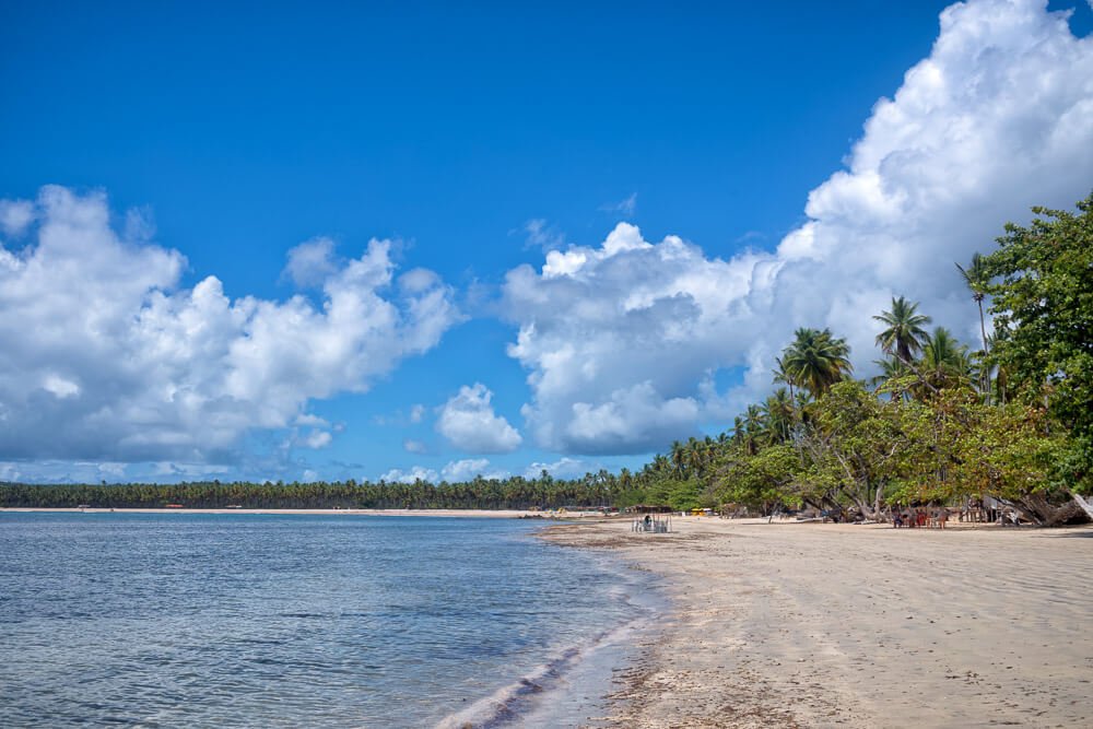 Praia de Tassimirim com mar calmo, grande faixa de areia e coqueirais.