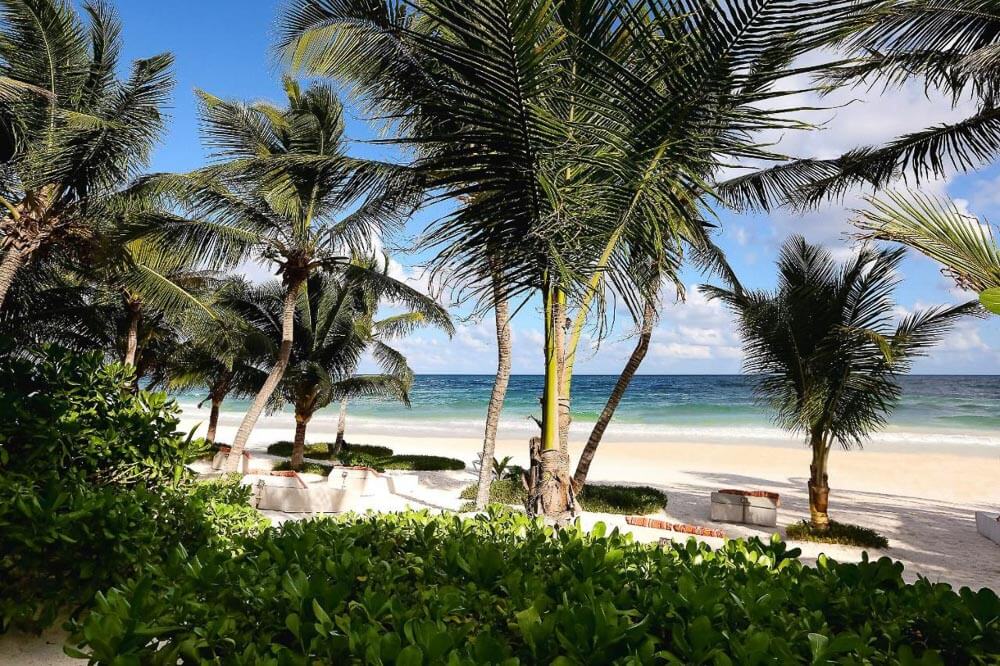 Ziggy Beach, com coqueirais, areia clara e o mar ao fundo.