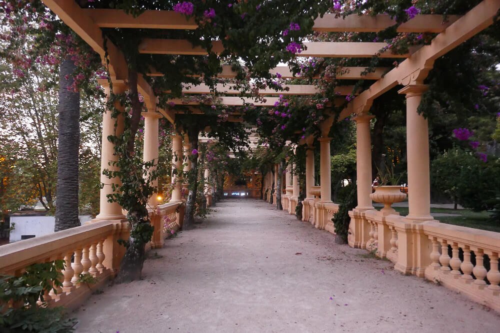 Parque Infante Dom Pedro com passagem coberta por flores roxas.