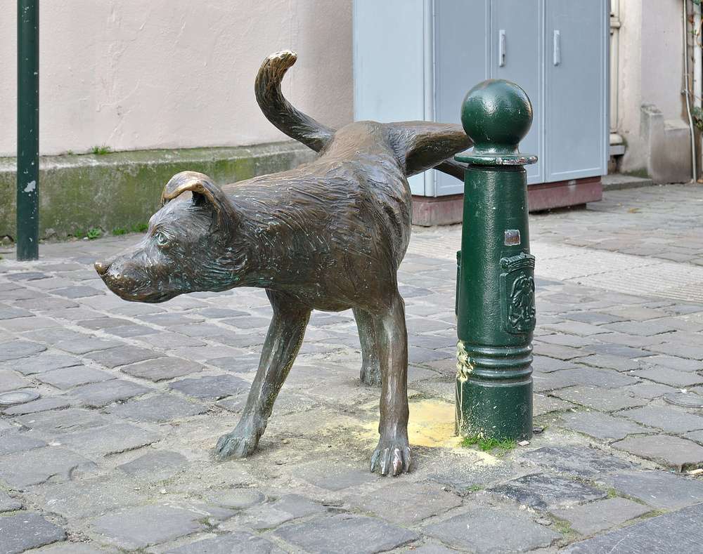 A estátua Zinneke Pis, que representa um cão urinando em um pequeno poste, em Bruxelas.