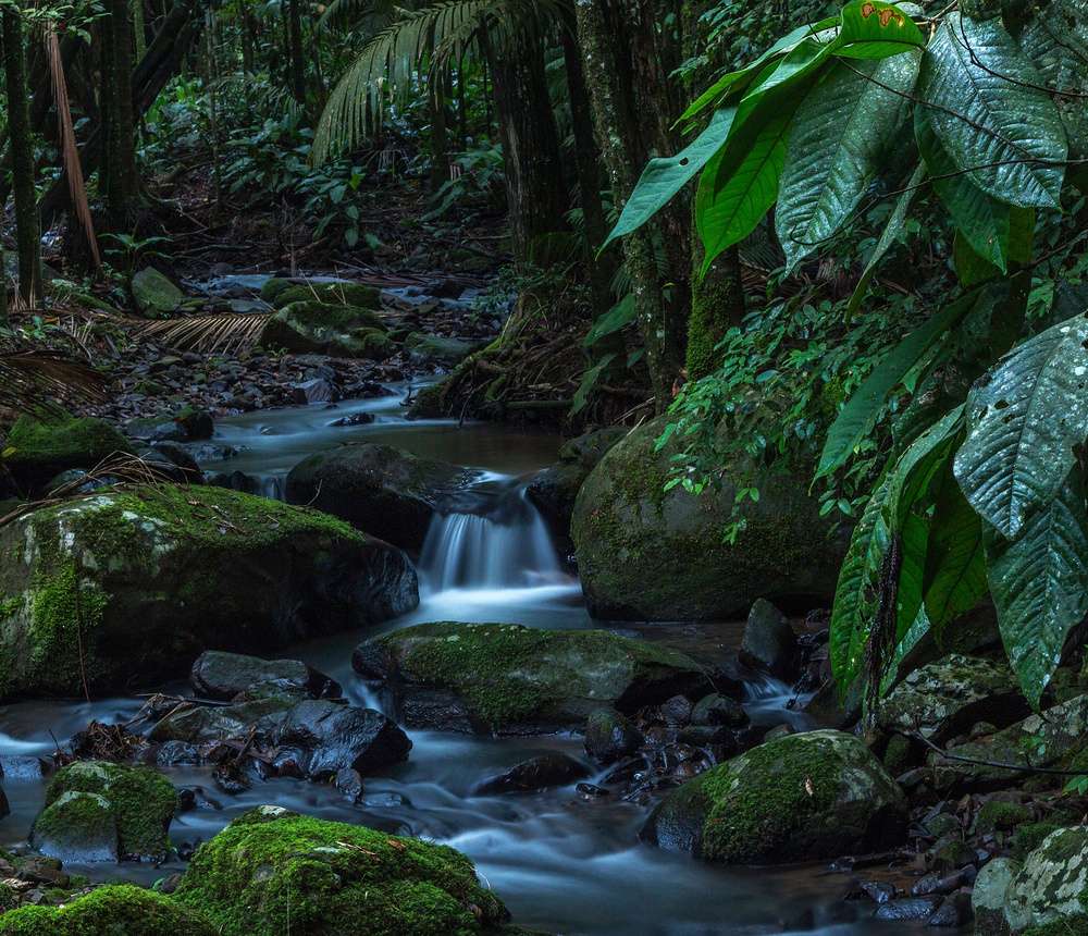 Uma paisagem de riacho, pedras e árvores no Parque Ecológico Spitzkopf.