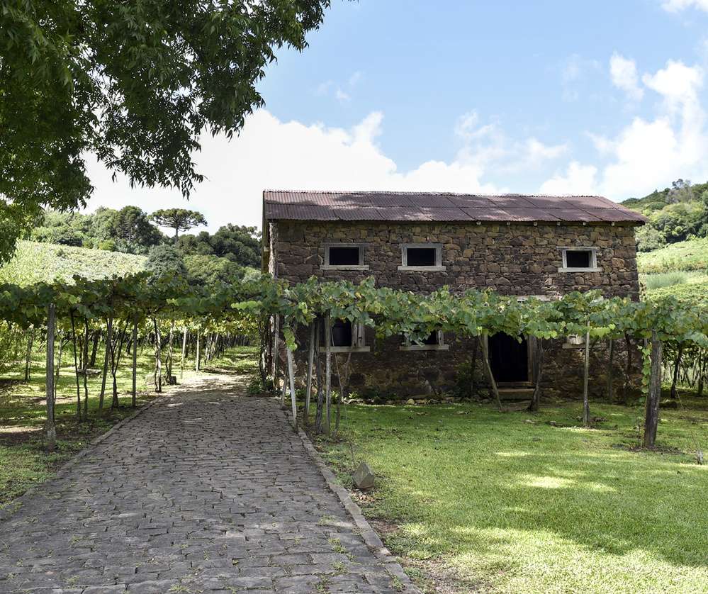 A casinha da Cantina Strapazzon, vista durante o dia na rota Caminhos de Pedra, em Bento Gonçalves.