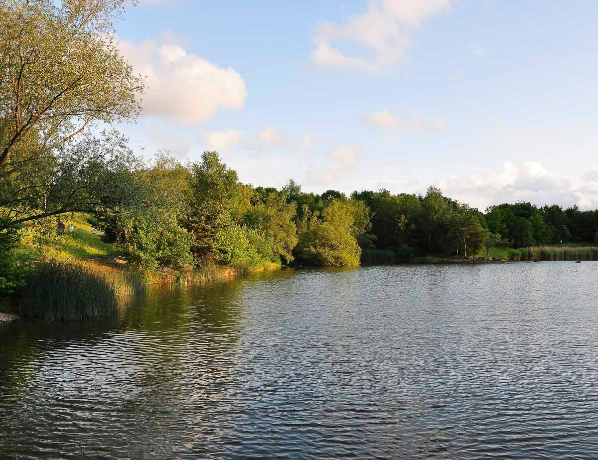 Lago tranquilo no parque Irchelpark em Unterstrass, cercado por vegetação exuberante, com árvores refletidas na água ao entardecer.