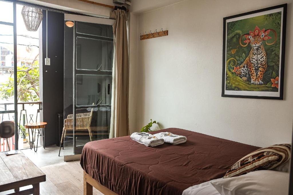 Black Llama Hostel Miraflores