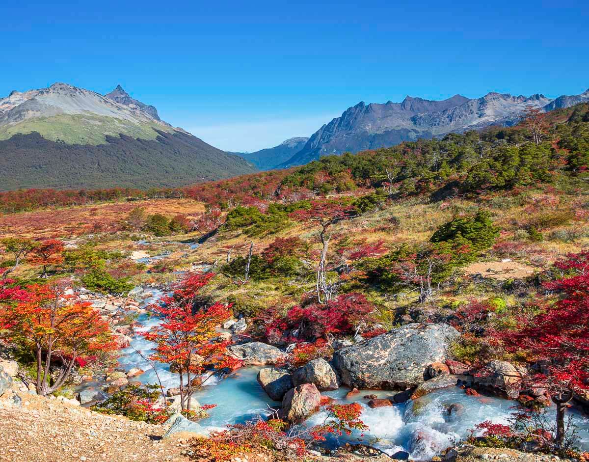 Paisagem outonal no Parque Nacional Tierra del Fuego, com árvores coloridas, montanhas ao fundo e um rio cristalino.