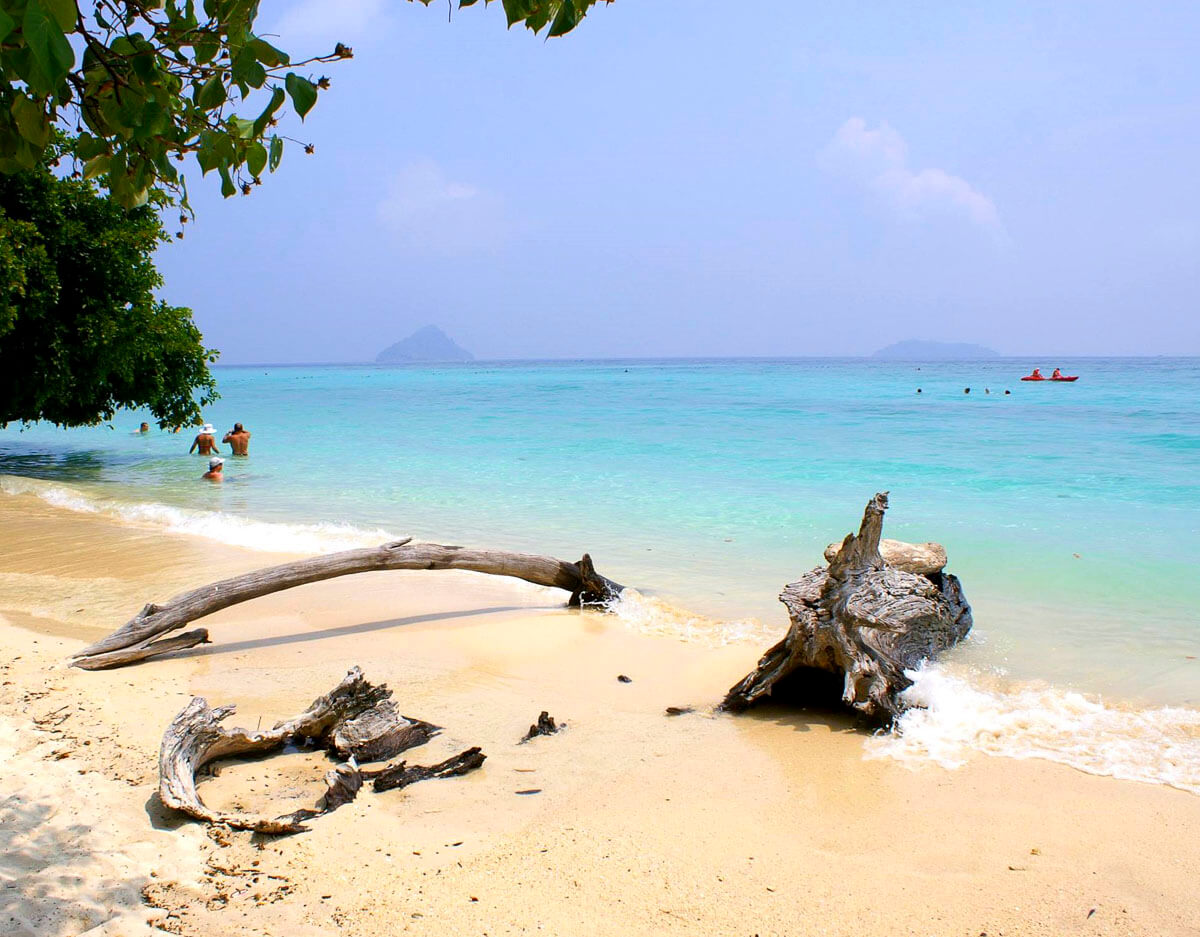 Praia de areia branca em Laem Tong Beach, Koh Phi Phi, com águas azul-turquesa e árvores ao fundo.