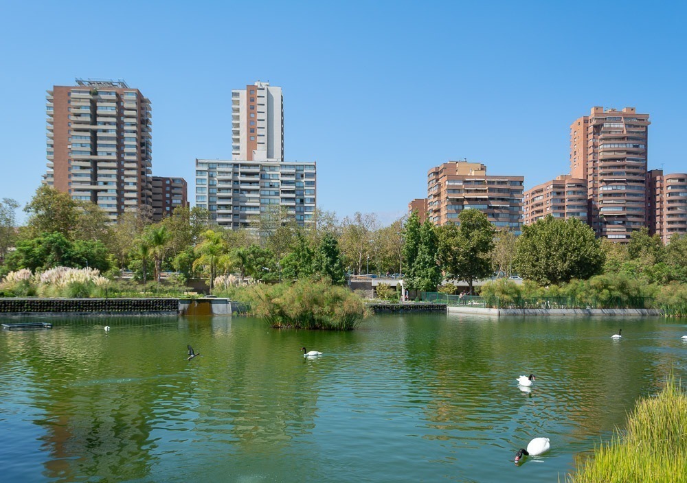 Lago do Parque Bicentenário, cercado por vegetação e edifícios altos ao fundo.