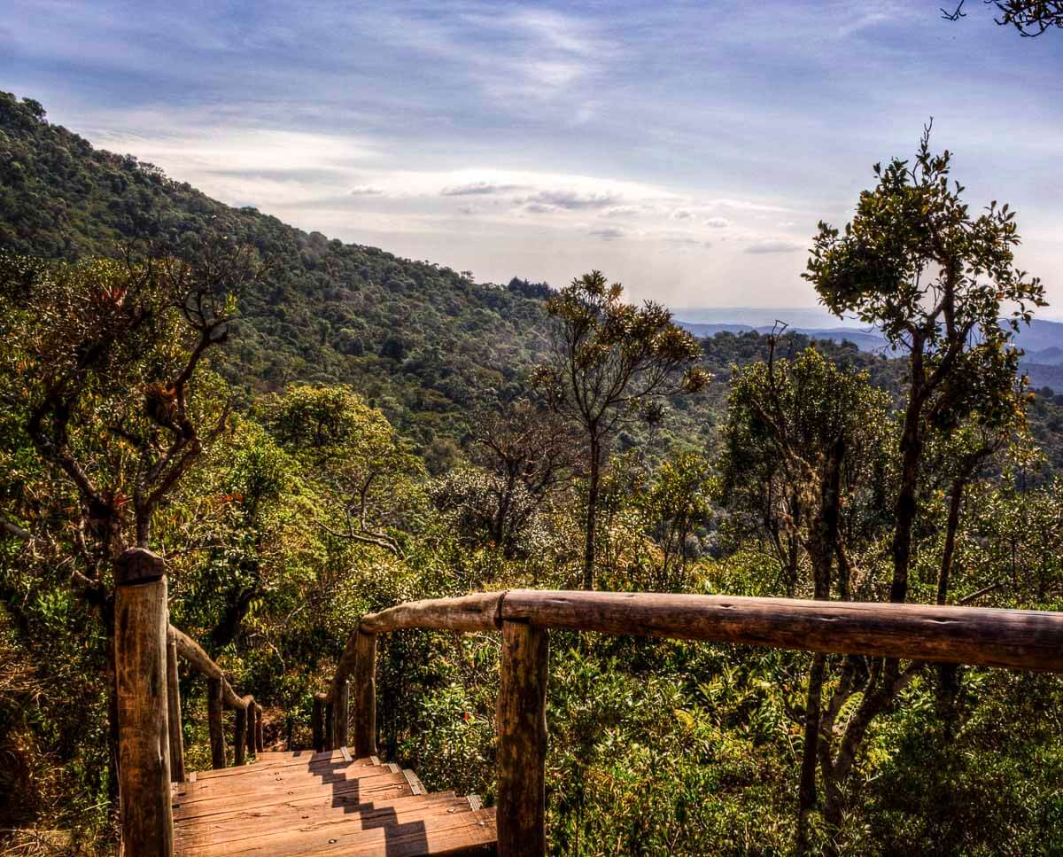 Escadaria de madeira em meio à mata com vista para as montanhas da região de Monte Verde MG.