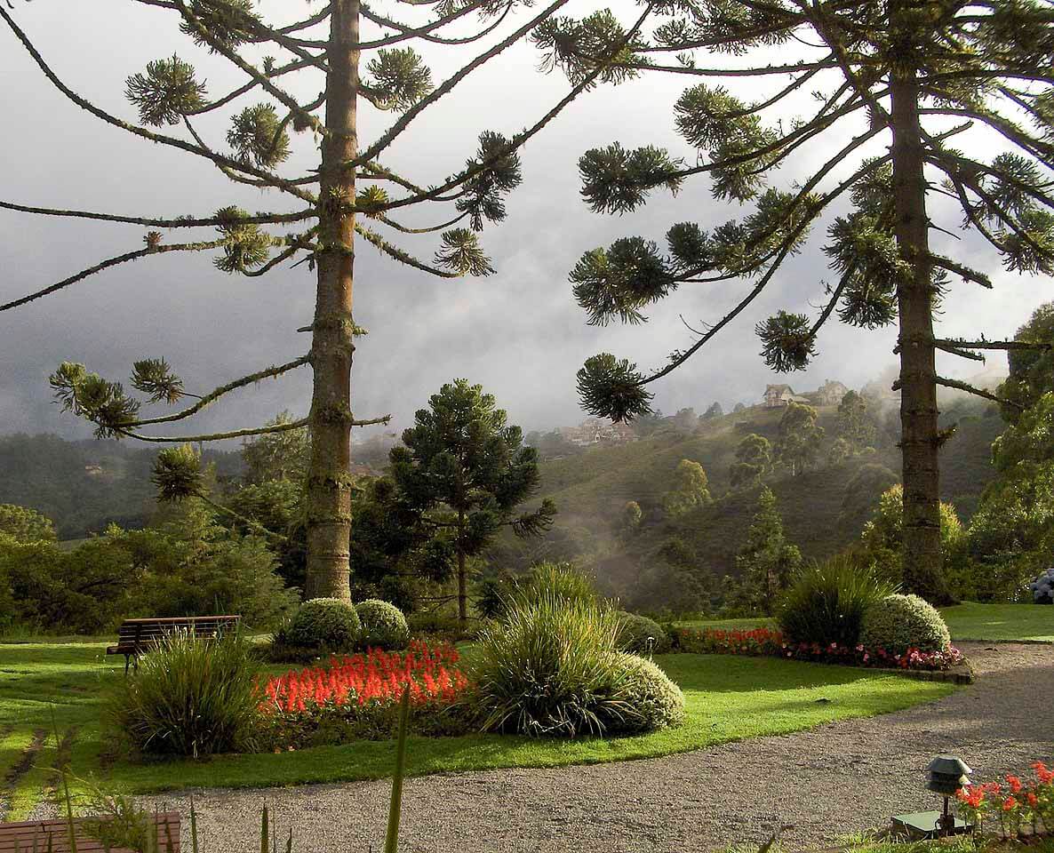 Jardins verdes com araucárias e flores coloridas em Campos do Jordão, com montanhas ao fundo envoltas por neblina.