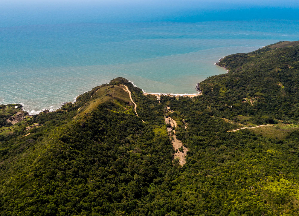 Praia do Jabaquara em Ilhabela com mata fechada ao redor e faixa de areia clara entre o mar.