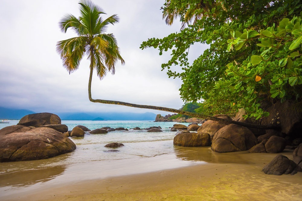 Praia do Aventureiro, em Ilha Grande, com mar calmo, grandes pedras e o famoso coqueiro inclinado à beira da areia.