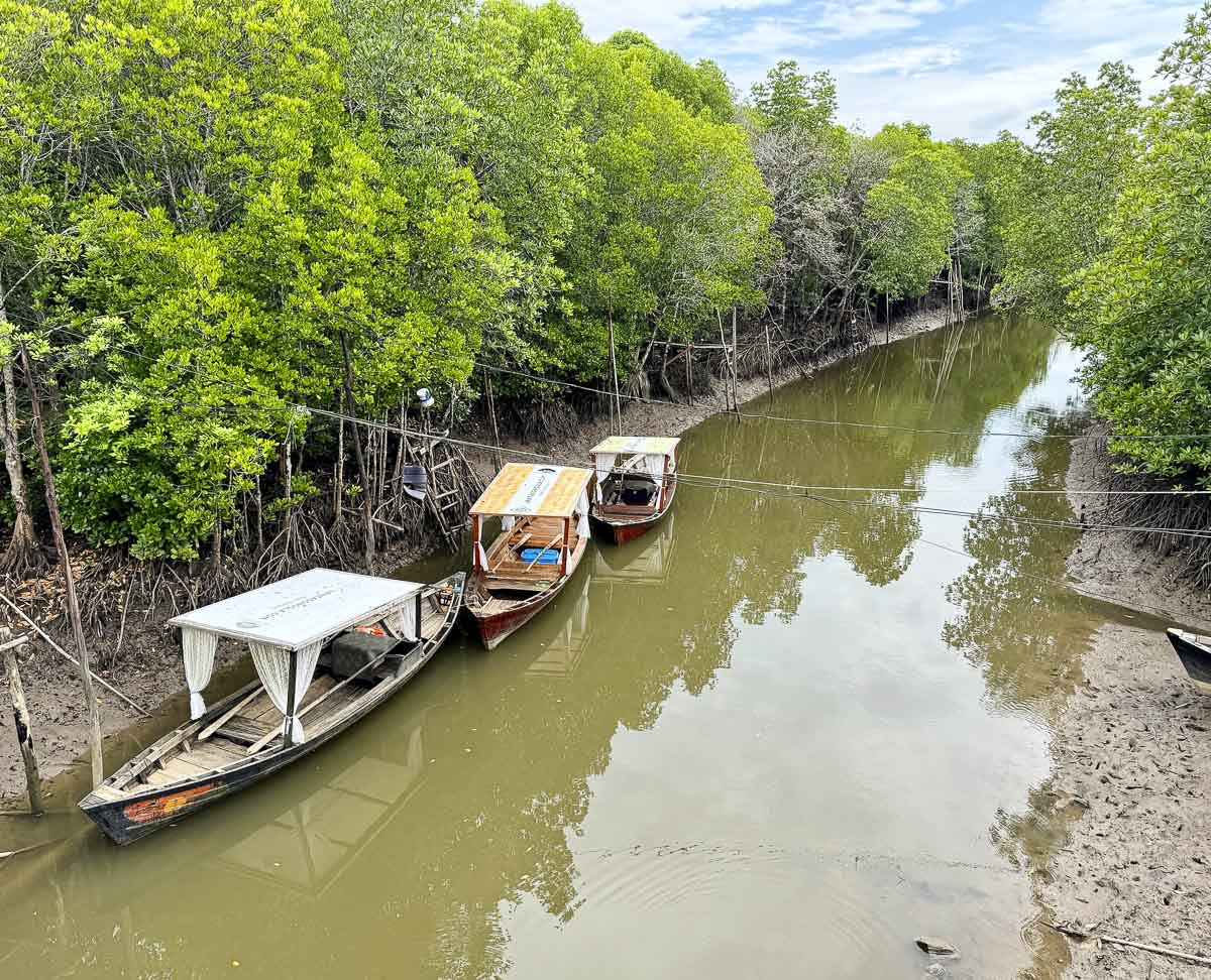 Três barcos tradicionais ancorados em canal estreito cercado por manguezais.