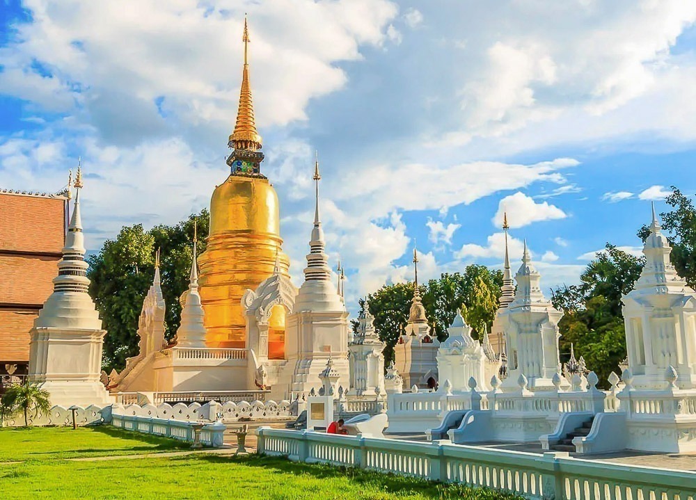 Chedi dourado central cercado por pequenos stupas brancos no Wat Suan Dok em Chiang Mai.