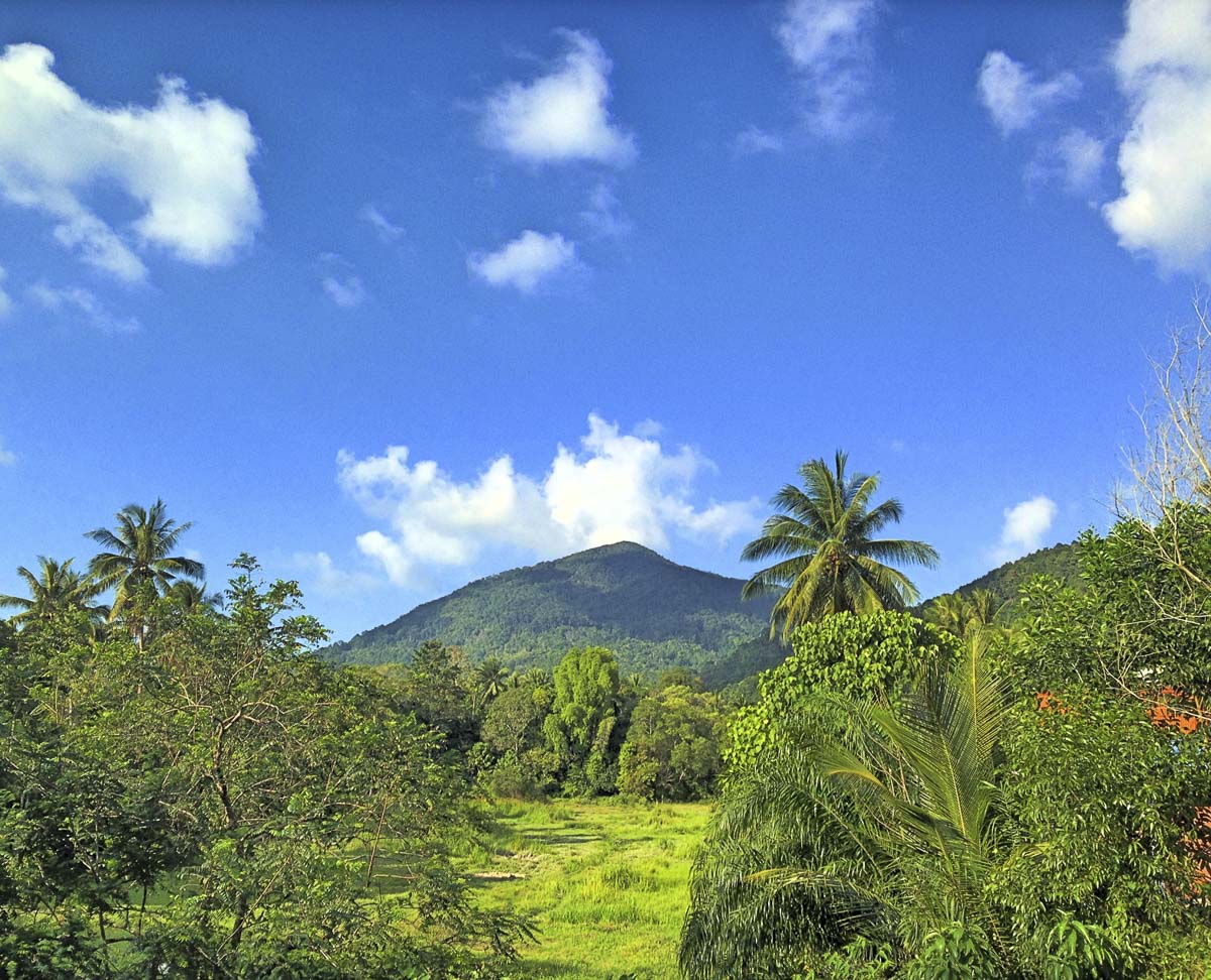 Montanha coberta por vegetação tropical sob céu azul com nuvens, vista de um campo aberto em Koh Phangan.